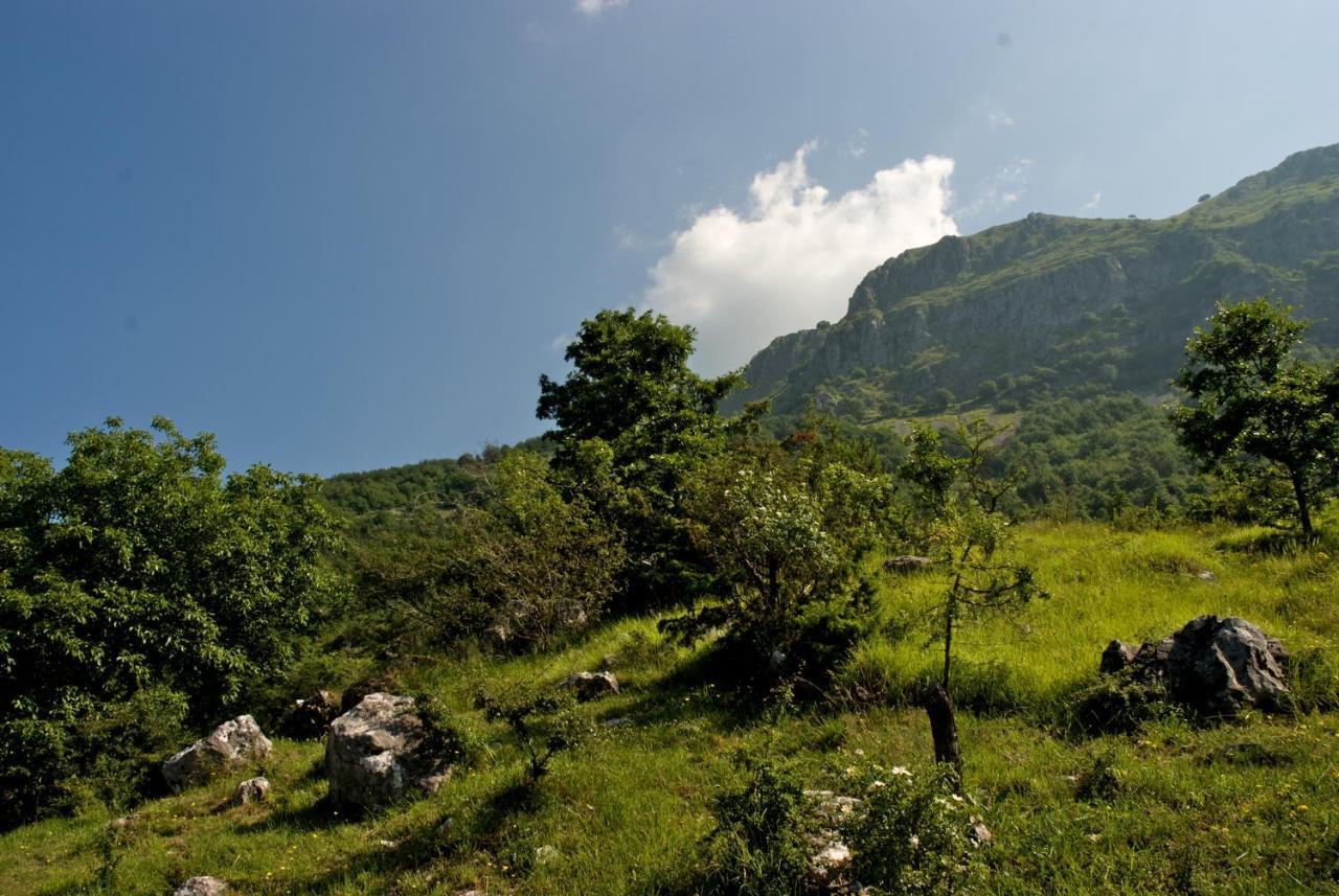 Alpeggio Pruno Villa Corfino Buitenkant foto