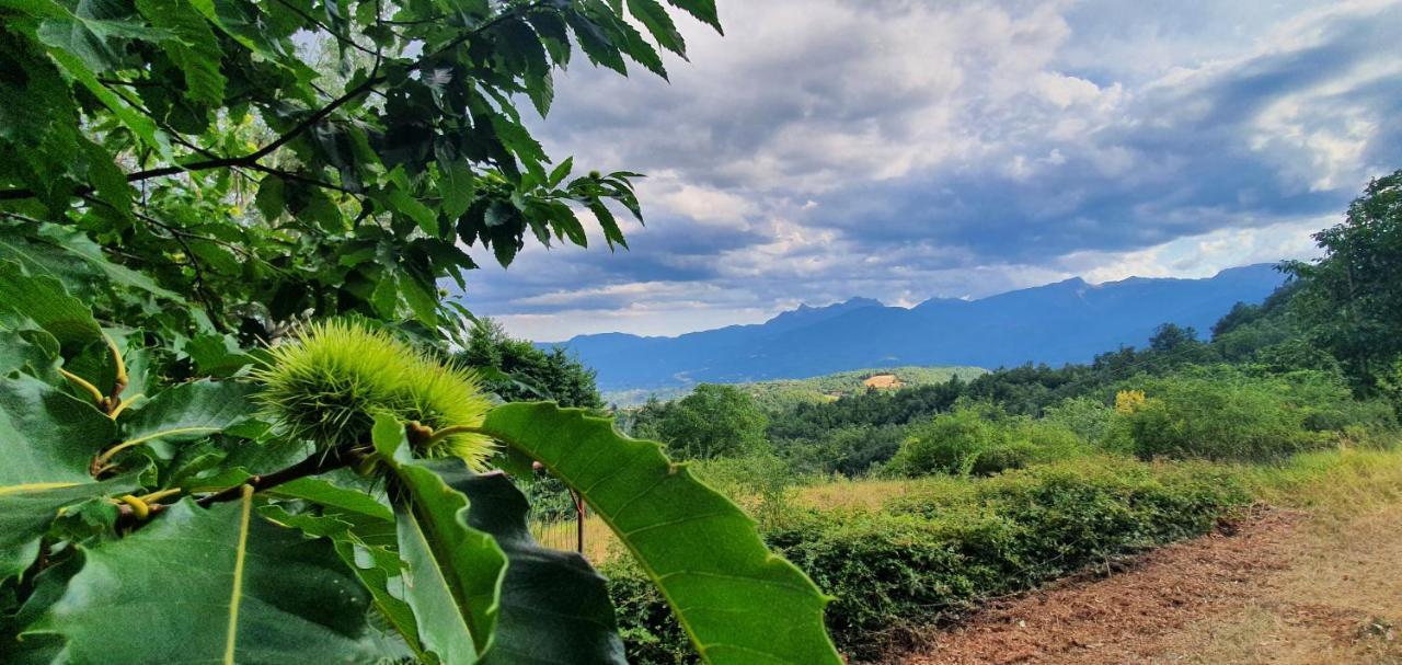 Alpeggio Pruno Villa Corfino Buitenkant foto