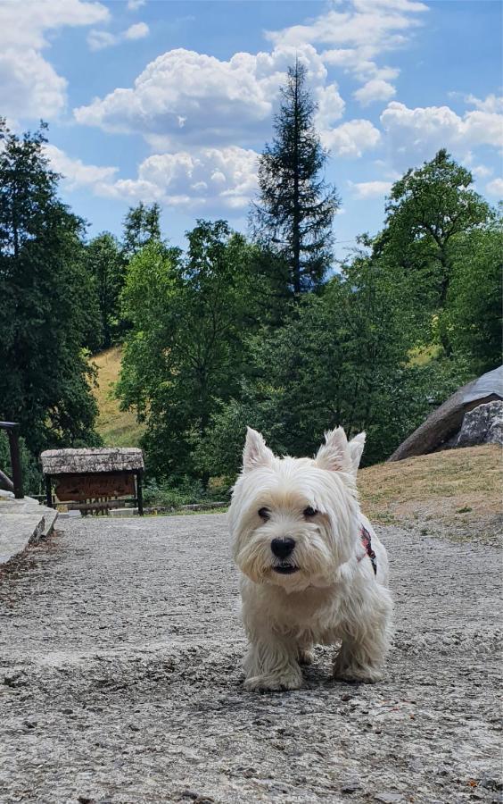 Alpeggio Pruno Villa Corfino Buitenkant foto